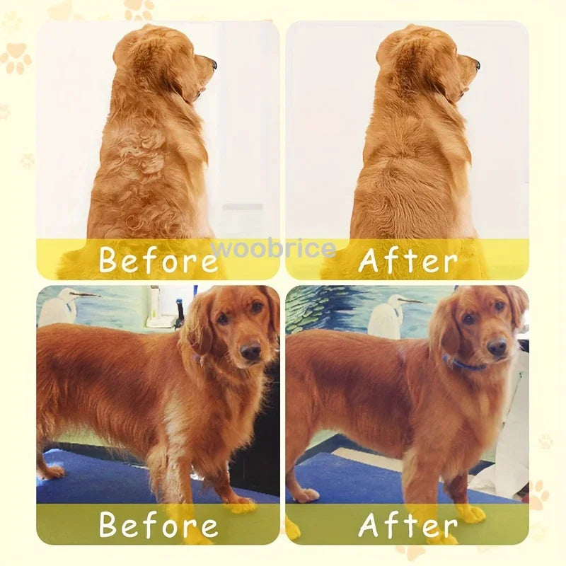 3-in-1 Pet Grooming & Deshedding Brush